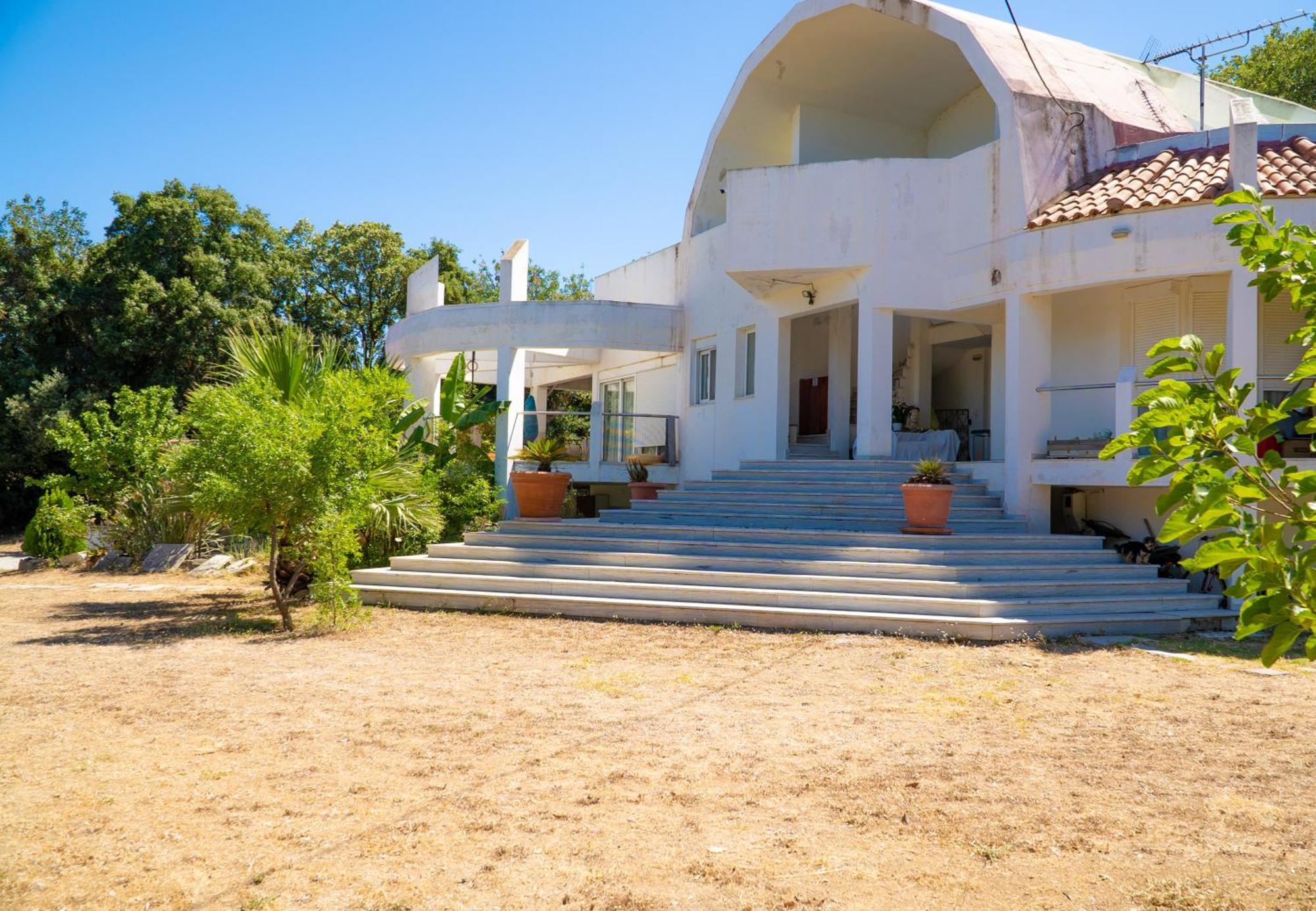 Daphne's Tropical House Rhodes Rhodes City