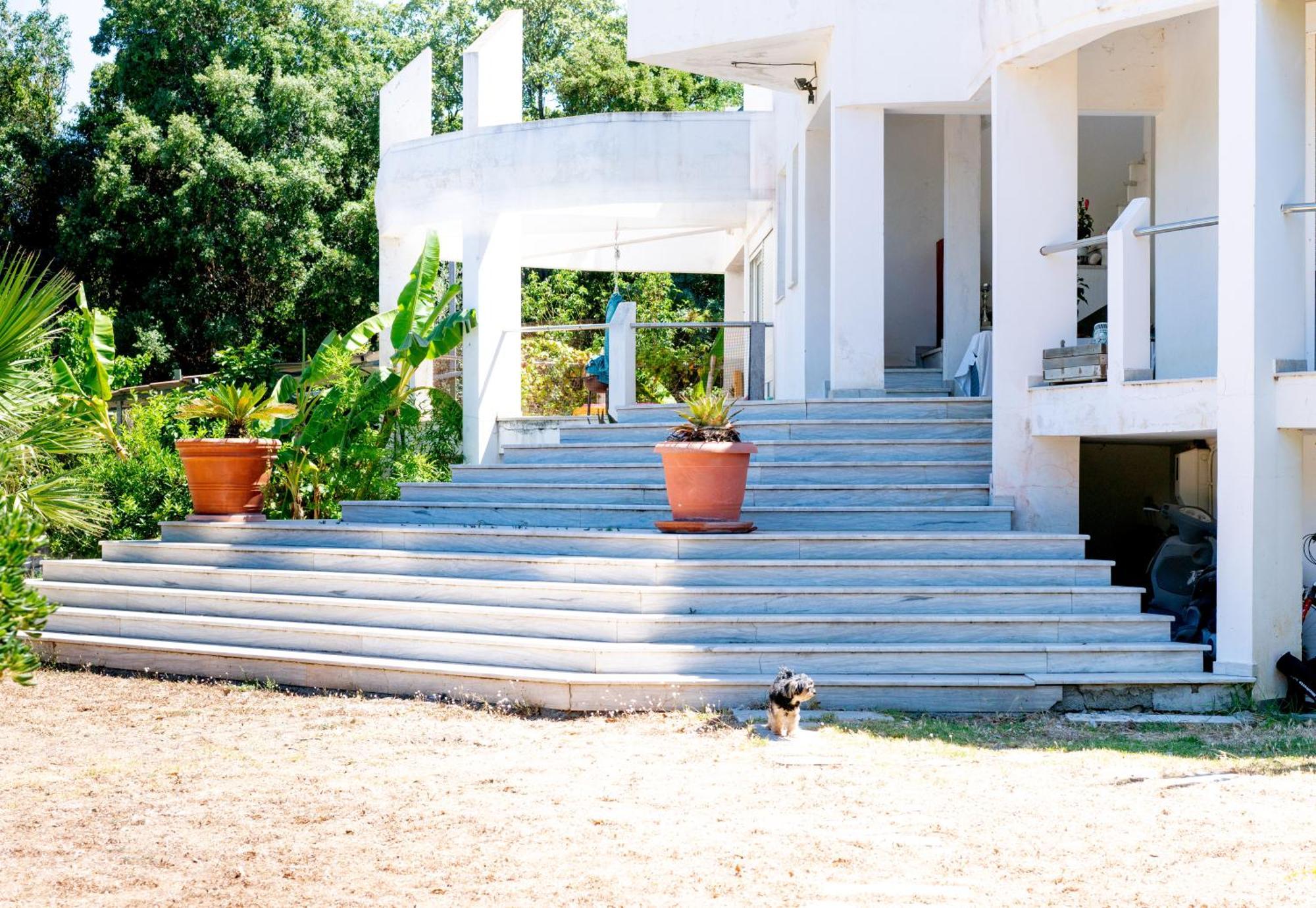 Daphne's Tropical House Rhodes * Rhodes City